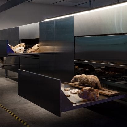 Israel puts skeletons and taxidermy on display at Venice Architecture Biennale – Architecture – Dezeen