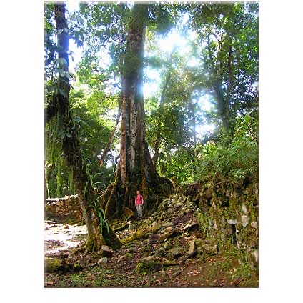 CHANASUYU: The Ruins of Inca Vilcabamba