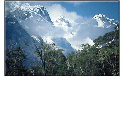 FORGOTTEN VILCABAMBA: Final Stronghold of the Incas