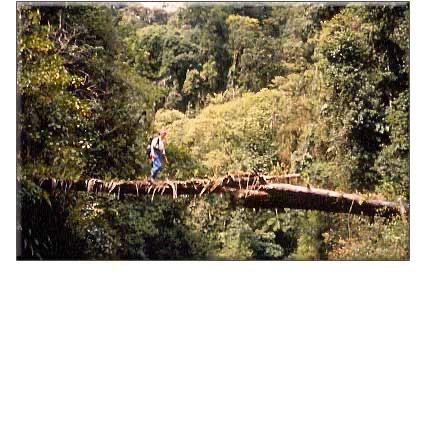 FORGOTTEN VILCABAMBA: Final Stronghold of the Incas