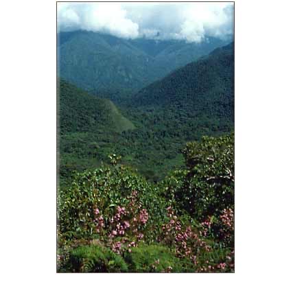 FORGOTTEN VILCABAMBA: Final Stronghold of the Incas