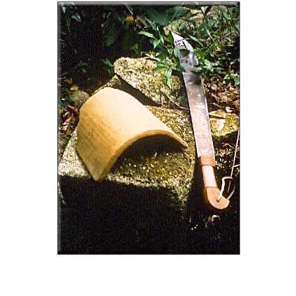 FORGOTTEN VILCABAMBA: Final Stronghold of the Incas