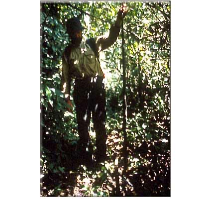 FORGOTTEN VILCABAMBA: Final Stronghold of the Incas