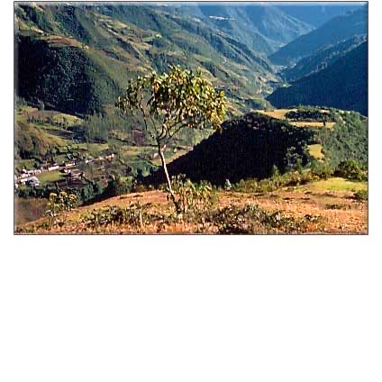 FORGOTTEN VILCABAMBA: Final Stronghold of the Incas
