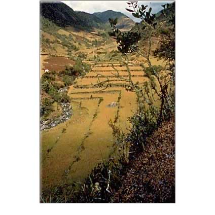 FORGOTTEN VILCABAMBA: Final Stronghold of the Incas