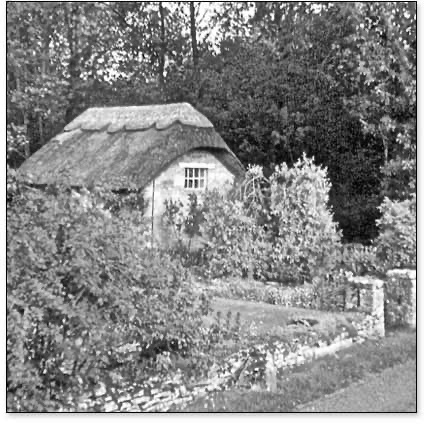 The Lost Half of Inca Architecture