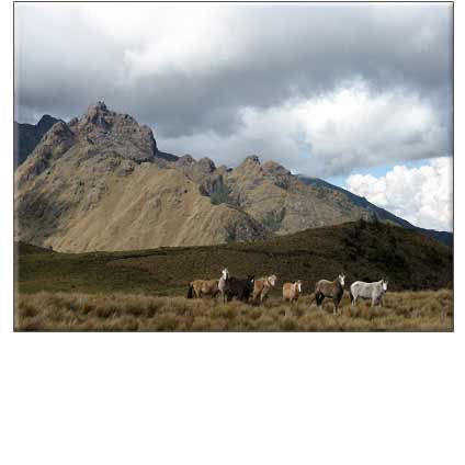 PUNCUYOC REVISITED: An Inca Marvel Decoded