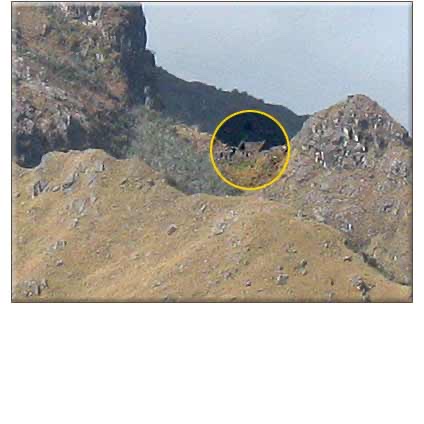 PUNCUYOC REVISITED: An Inca Marvel Decoded