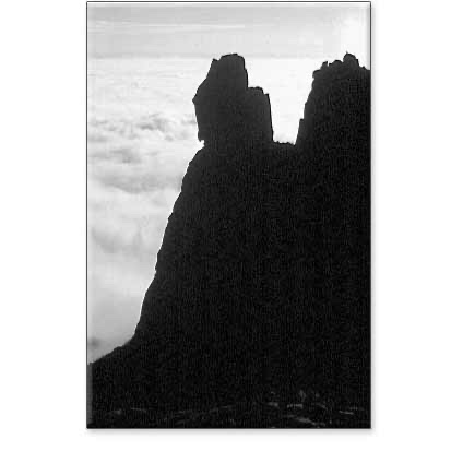 SIXPAC MANCO: Travels Among the Incas