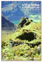 Vira Vira